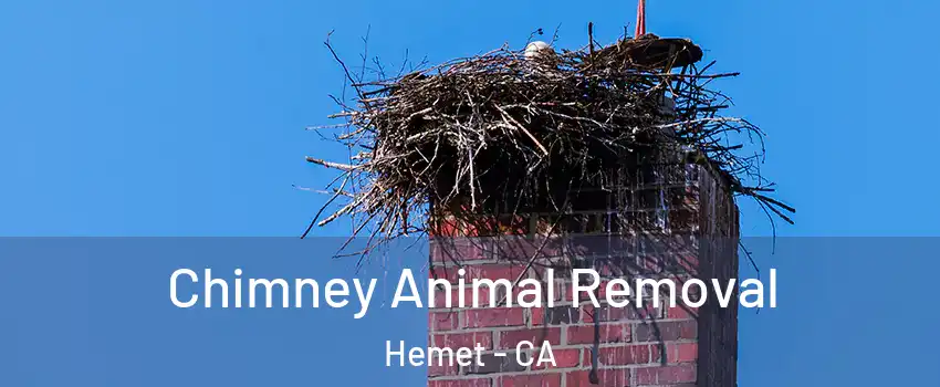  Chimney Animal Removal Hemet - CA