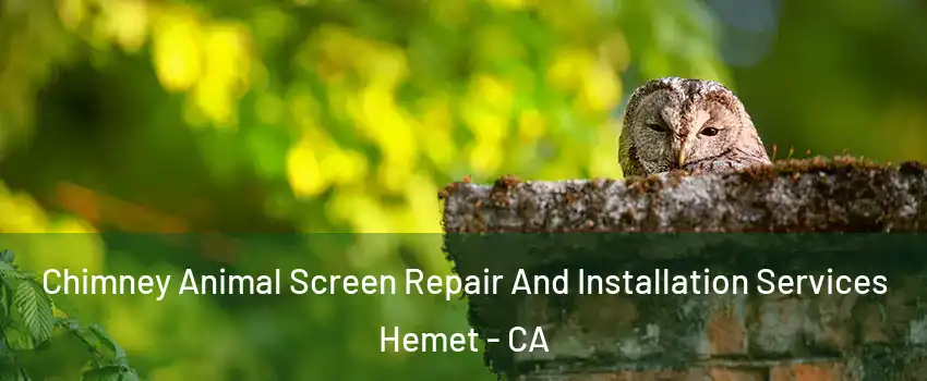  Chimney Animal Screen Repair And Installation Services Hemet - CA
