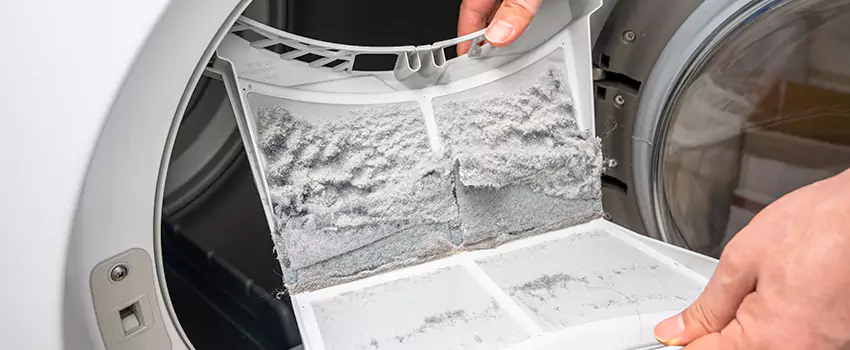Best Dryer Lint Removal Company in Hemet, California